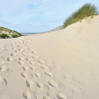 ig9938-Georges-Felix-Cohen-Les-Dunes-X