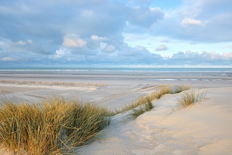 ig9943-Georges-Felix-Cohen-Les-dunes-XIV