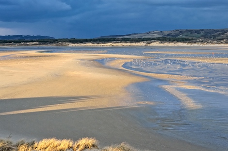 ig9952-Georges-Felix-Cohen-La-plage