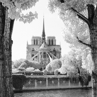Image ig9986 Dave Butcher France Paris Notre-Dame