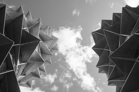 Kaktus-duo---Emmanuel-TECLES