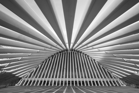 Strobos---Emmanuel-TECLES