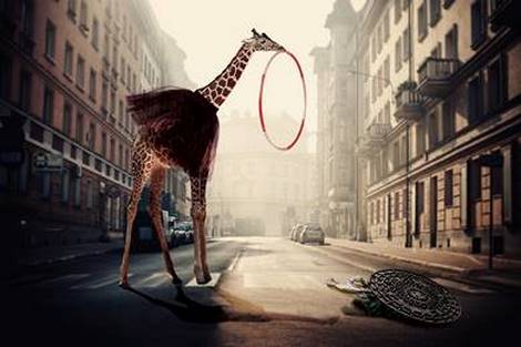 Tableau-deco-plexiglass Girafe-urbaine