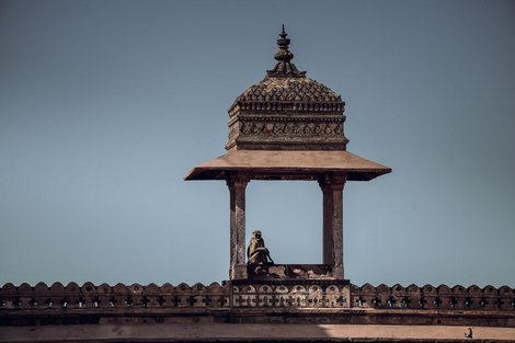 Tableau-deco-plexiglass Inde-clocher---Tony-DIVET