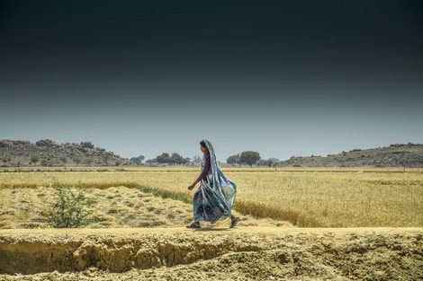 Tableau-deco-plexiglass Inde-culture---Tony-DIVET