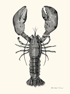 Lison-Trepos-TanneauHomard-SE_HOMARD