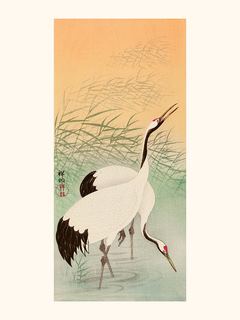 Ohara-Koson-Two-cranes-1877-1945-SE_OharaKoson18771945Twocranes19251936