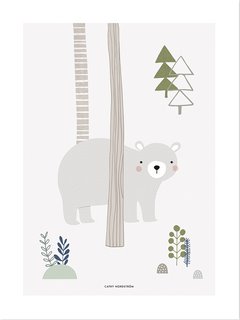 P0207_Bear-Ourson-gris-Cathy-Nordstrom-Lilipinso