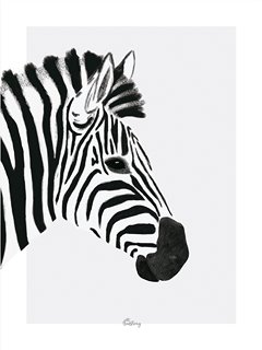 P0264_zebre-Serengeti-:-le-zebre-Mel-Armstrong-Lilipinso