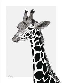 P0265_girafe-Serengeti-:-la-girafe-Mel-Armstrong-Lilipinso