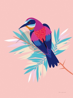 wa64630-Omar-Escalante-Exotic-Birds-II