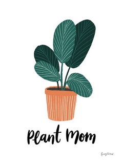 wa65070-Becky-Thorns-Plant-Mum