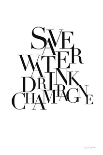 wa66613-Mercedes-Lopez-Charro-Save-Water-drink-Champagne