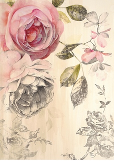 Image ama7939 Ethereal Roses 2 Stefania Ferri FLEURS 