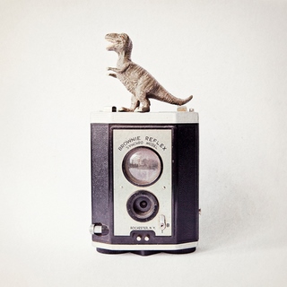 amad4487-T-Rex-amp;-Vintage-Camera-Susannah-Tucker-Photography-appareil-photo