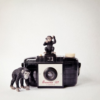 Image amad4489 Monkey & Vintage Camera Susannah Tucker Photography appareil photo