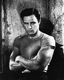 bga488616-Hollywood-Photo-Archive-Marlon-Brando-in-A-Streetcar-Named-Desir