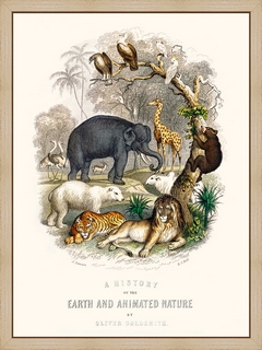 A-history-of-earth-and-animated-nature