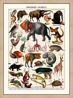 Animals-inventory---Beto-Val