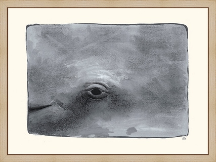 Baleine---Helene-Montfort