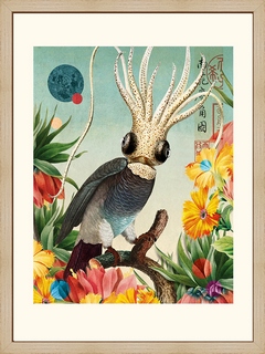 Bird---Beto-Val