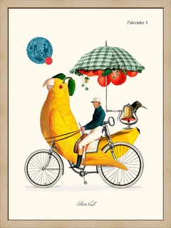 Bird-Cycle---Beto-Val