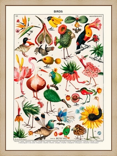 Birds-inventory---Beto-Val