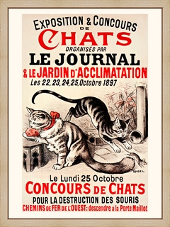 Exposition-et-concours-de-chats