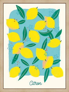 Citrons-Piscine