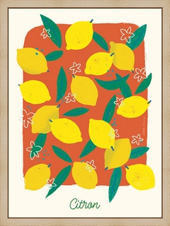 Citrons-Terracotta