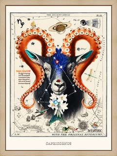 Capricornus---Beto-Val