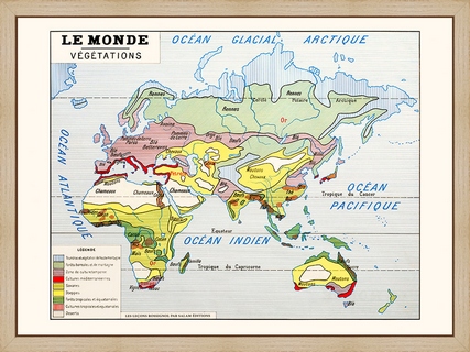 Le-monde-(Vegetations)