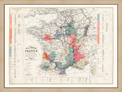 Carte-vinicole-de-France-1861