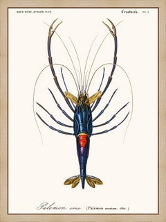 Palemon