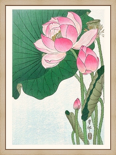 Fleur-de-lotus-1910-1912---Ohara-Koson