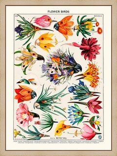 Flower-birds-inventory---Beto-Val