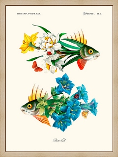 Flower-Fish---Beto-Val