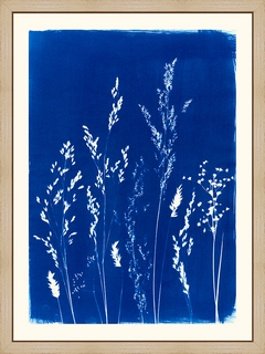 Gramin-es---Les-Papiers-Bleus