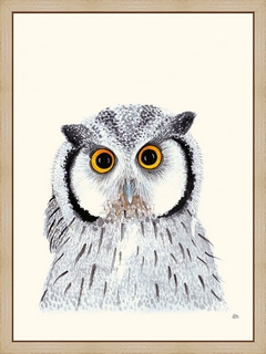 Hibou---Helene-Montfort