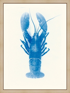 Homard---Les-Papiers-Bleus