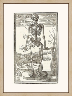 Human-Skeleton