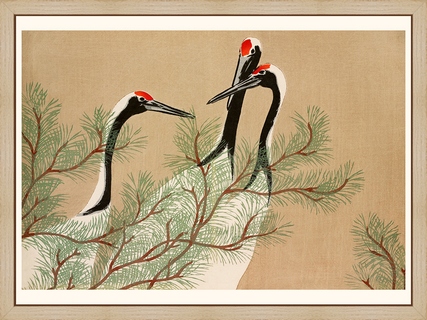Cranes-from-MomoyogusaFlowers-of-a-Hundred-Generations-1909---Sekka