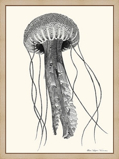 Meduse---Lison-Trepos-Tanneau