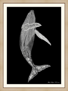 Baleine---Lison-Trepos-Tanneau
