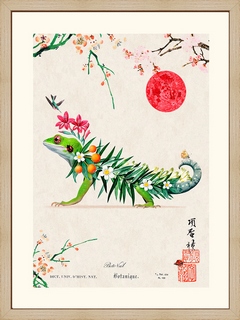 Lizard---Beto-Val