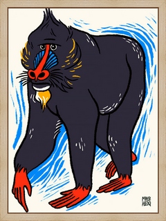 Mandrill---Maud-Peloq