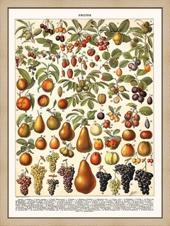 Fruits