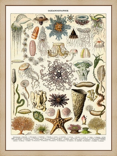 Oceanographie