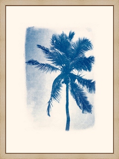 Palmier-de-Guadeloupe---Les-Papiers-Bleus