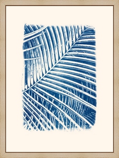 Palmier-serre---Les-Papiers-Bleus